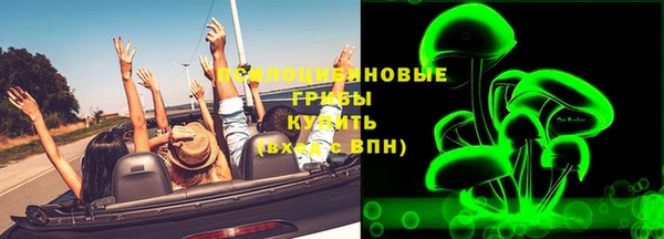 spice Беломорск