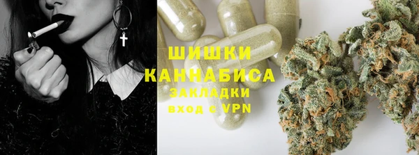 гидропоника Белокуриха