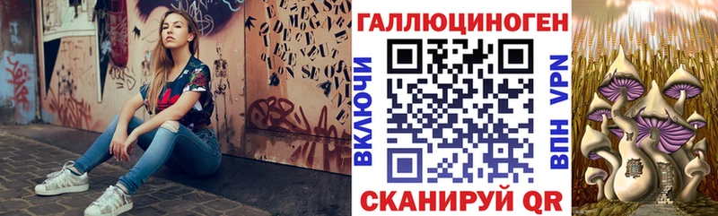 Псилоцибиновые грибы мицелий  купить закладку  Болохово 